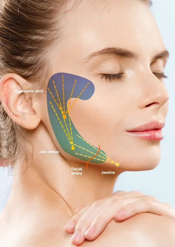 Harmonyca Anatomy Of Beaut 1 - Özel Medlook Polikliniği