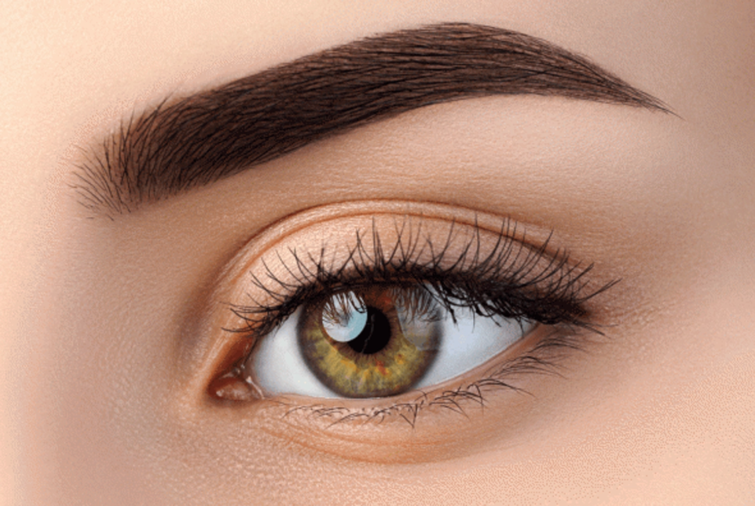 Comment se fait la transplantation de sourcils ? Etapes et processus technique | Medlook