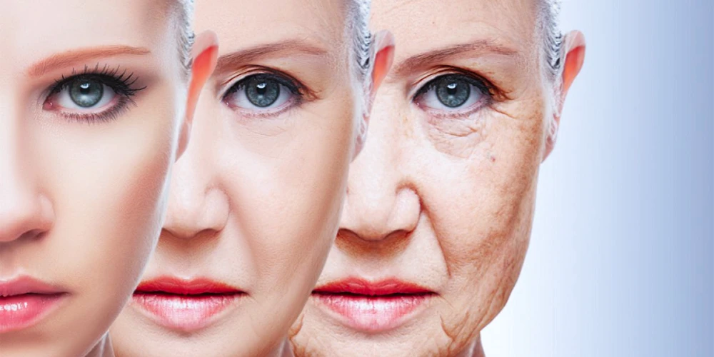Who is Biostimulant Suitable for? Age and Skin Analysis